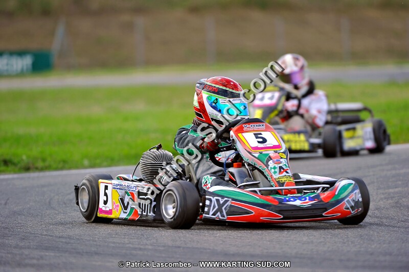 DSC_ (886).jpg